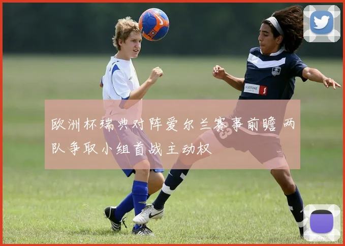欧洲杯瑞典对阵爱尔兰赛事前瞻 两队争取小组首战主动权