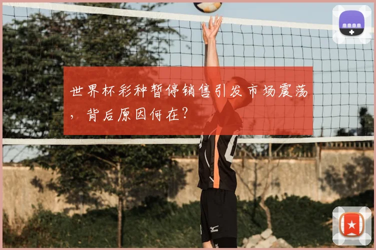 世界杯彩种暂停销售引发市场震荡,背后原因何在?
