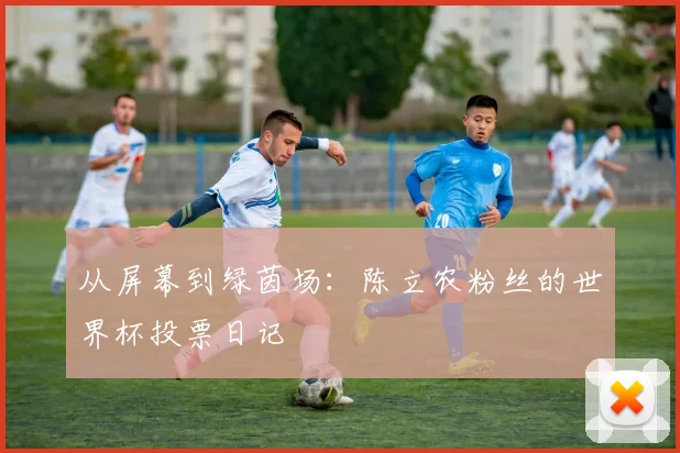 从屏幕到绿茵场:陈立农粉丝的世界杯投票日记