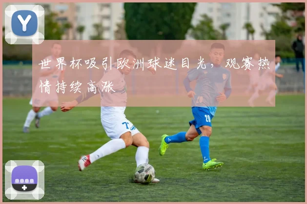 世界杯吸引欧洲球迷目光,观赛热情持续高涨