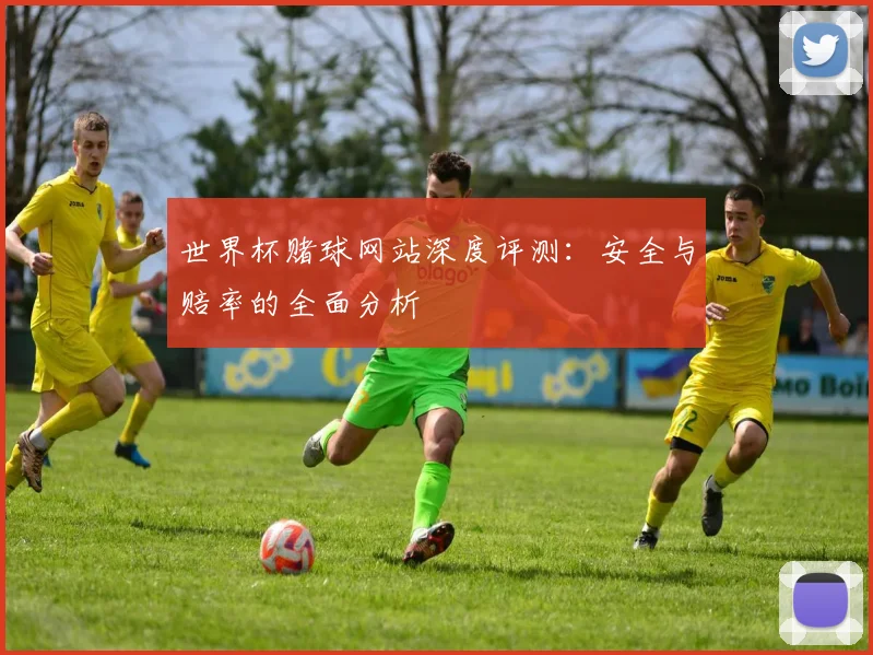 世界杯赌球网站深度评测：安全与赔率的全面分析