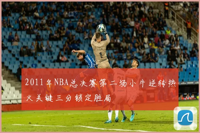 2011年NBA总决赛第二场小牛逆转热火关键三分锁定胜局